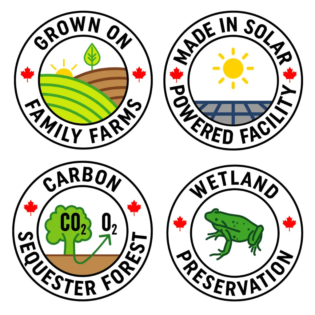 Tega Japanese Matcha 40g | Organic DC-Tega Tea